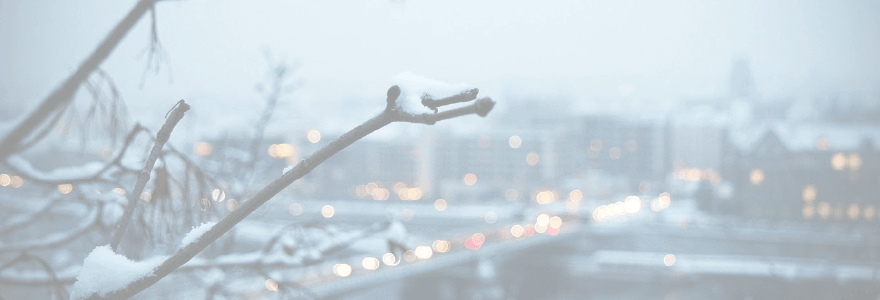 How to Keep your phone from freezing cold winter