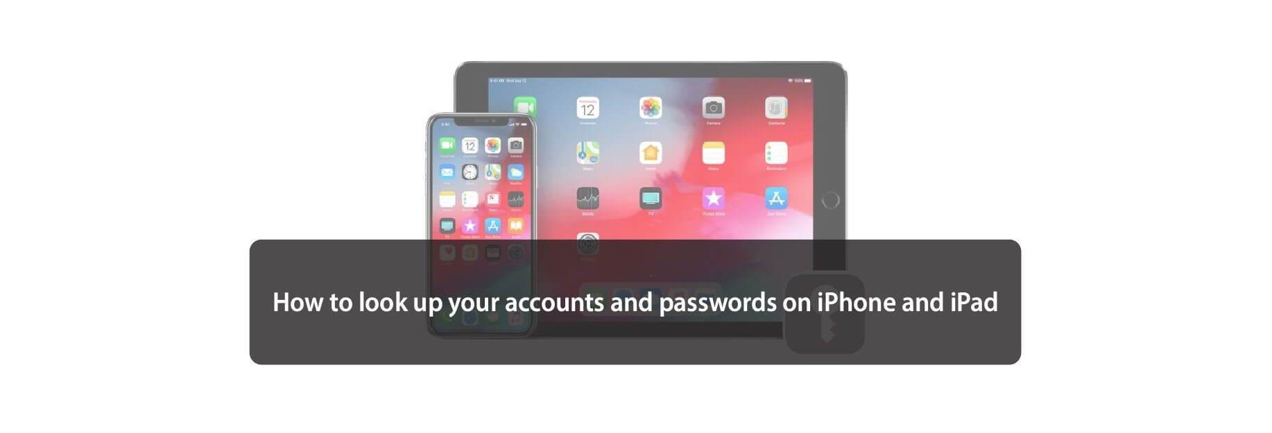 How to look up your accounts and passwords on iPhone and iPad