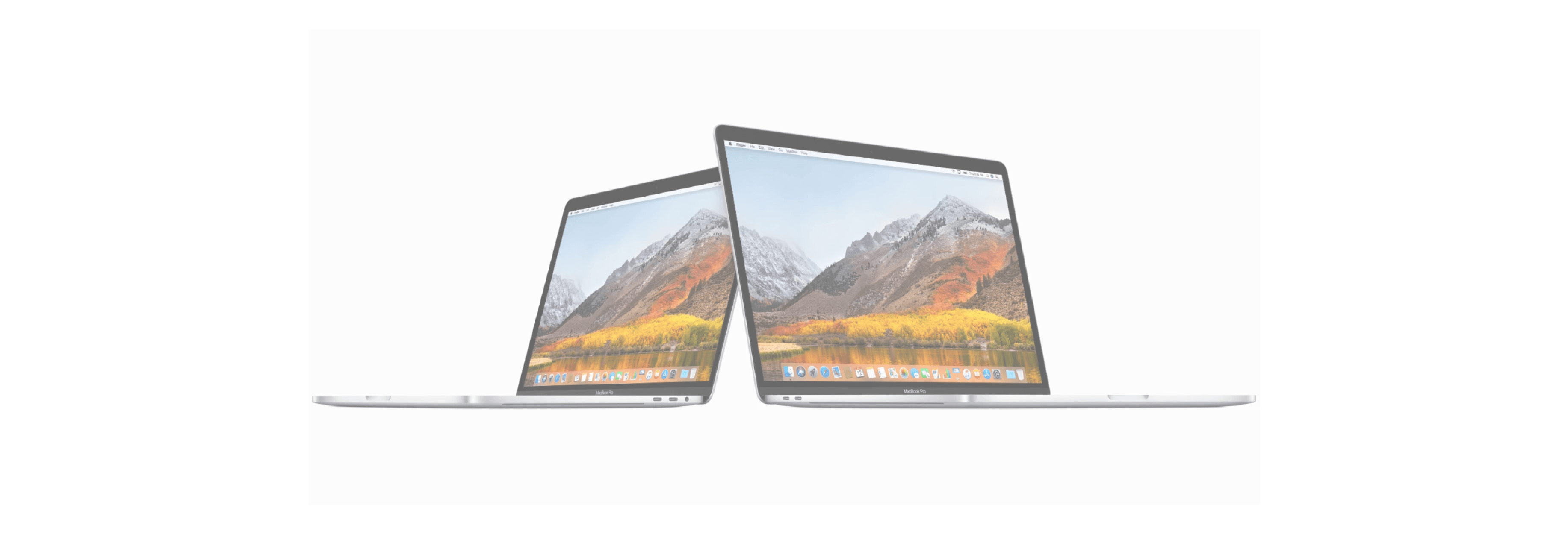 How to remove a website from Safari's 'Never Save' password list