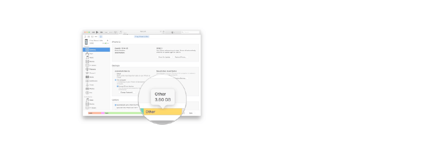 How to find and remove 'Other' files from iPhone