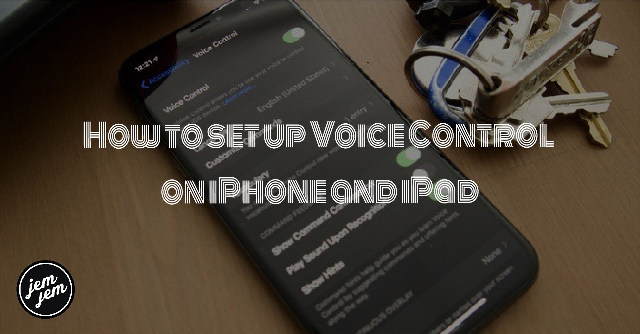 How to set up Voice Control  on iPhone and iPad
