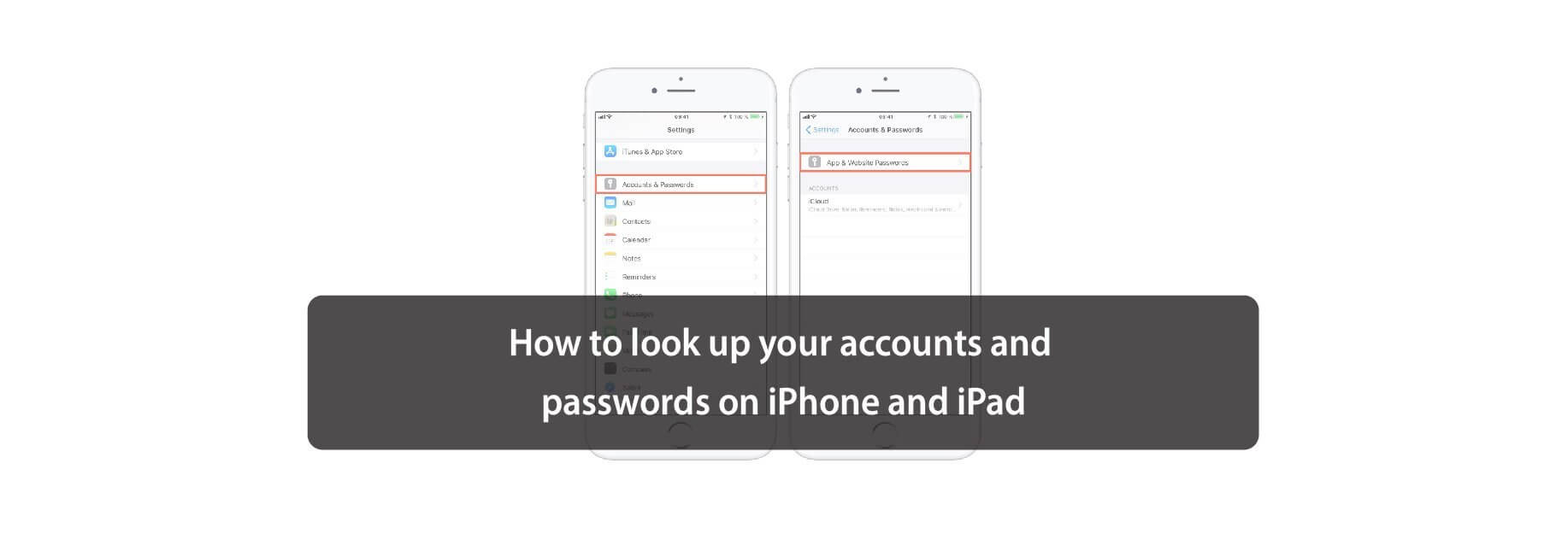 How to look up your accounts and passwords on iPhone and iPad