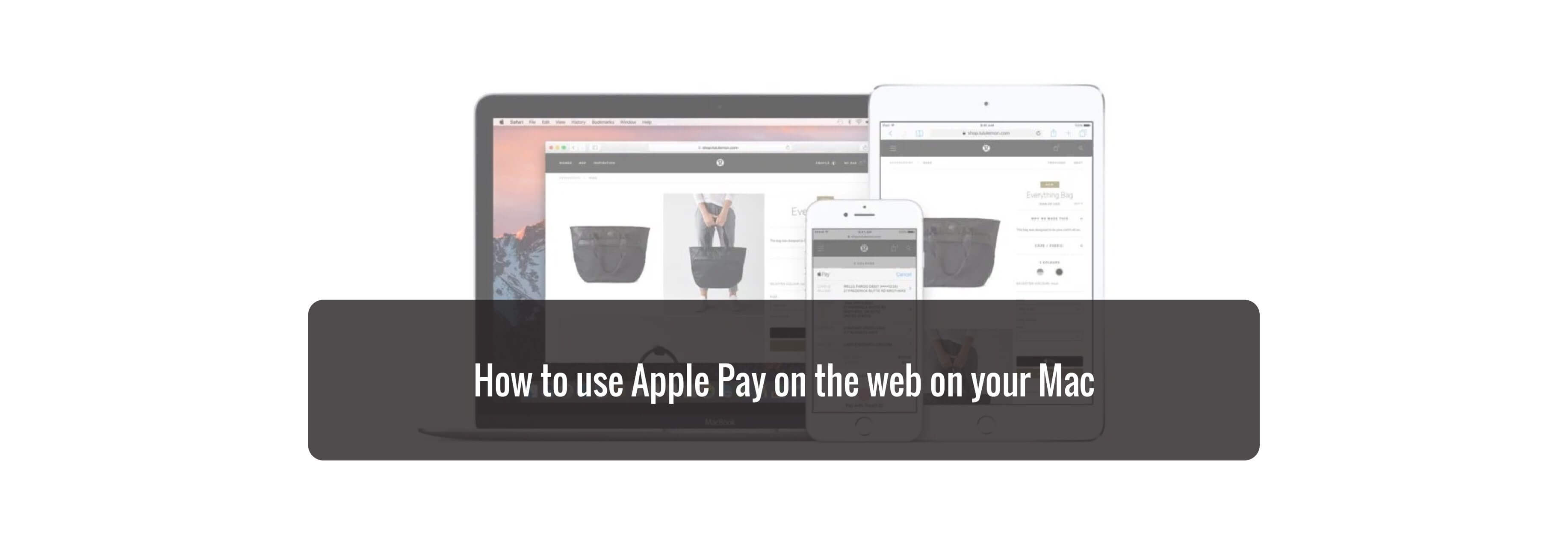 How to use Apple Pay on the web on your Mac