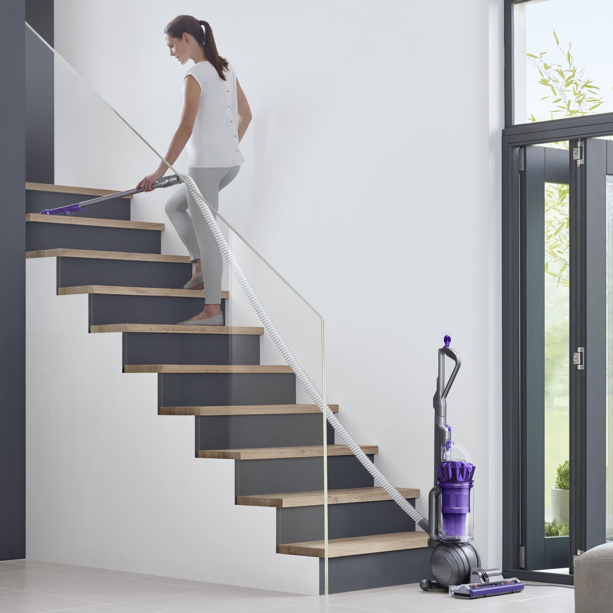 Refurbished - Dyson UP20 Ball 2 Animal (Iron/Purple) (Manufacturer Refurbished)