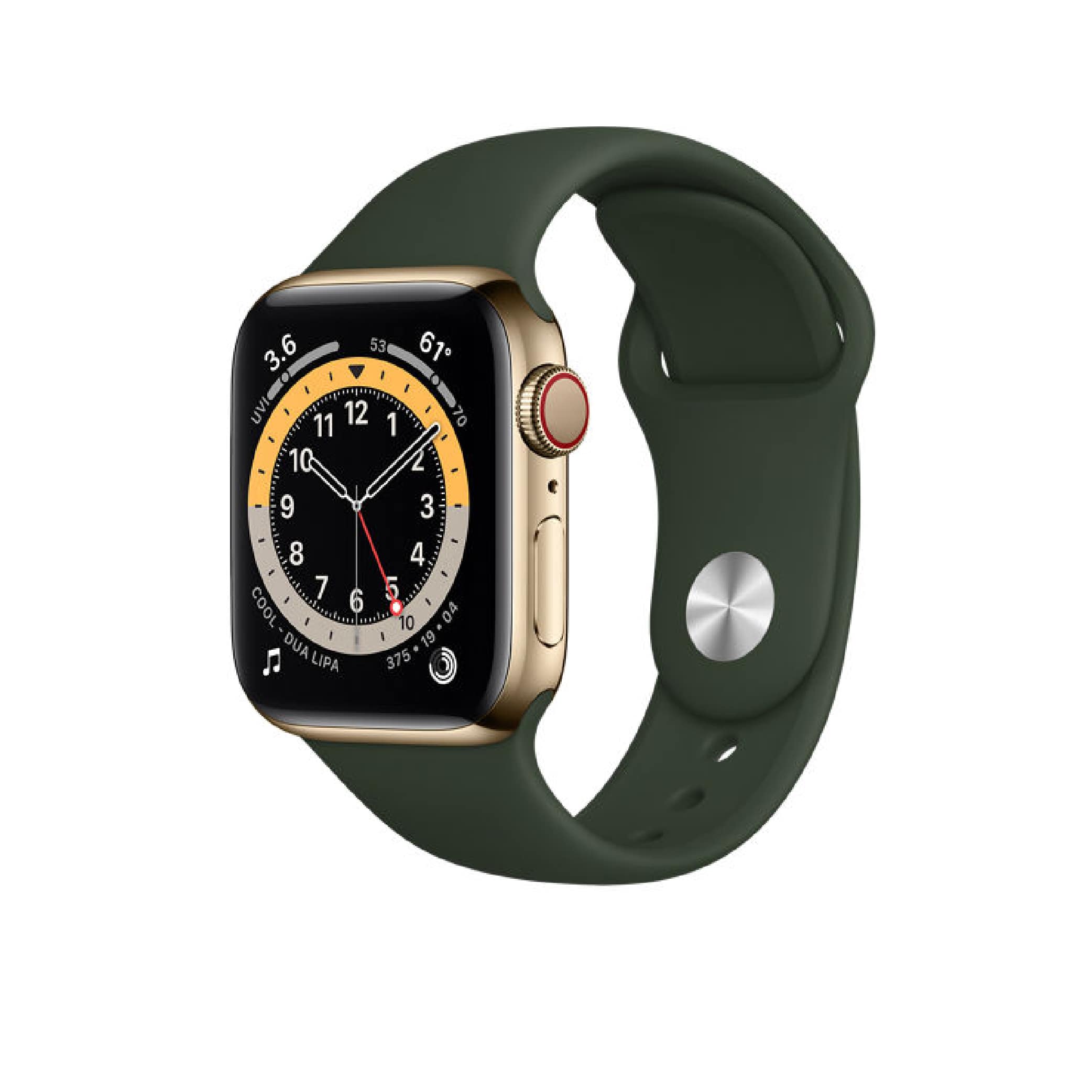 Apple Watch (Series 6) September 2020 40/44 mm  (Refurbished-Fair condition)